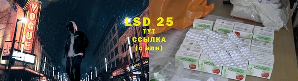дмт Кодинск