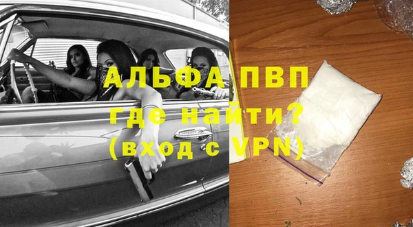 крисы Коряжма