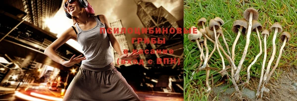 герыч Козельск