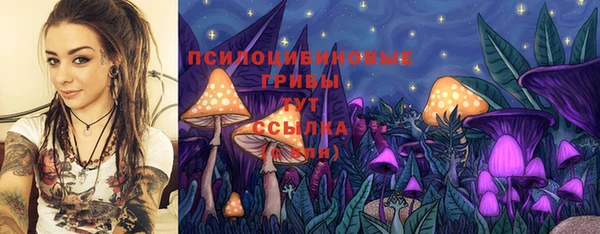 дмт Кодинск