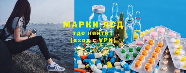 крисы Коряжма