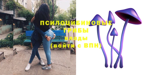 герыч Козельск