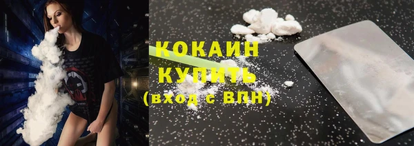 крисы Коряжма
