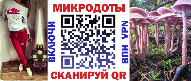 даркнет сайт  Котельниково  Псилоцибиновые грибы Magic Shrooms 